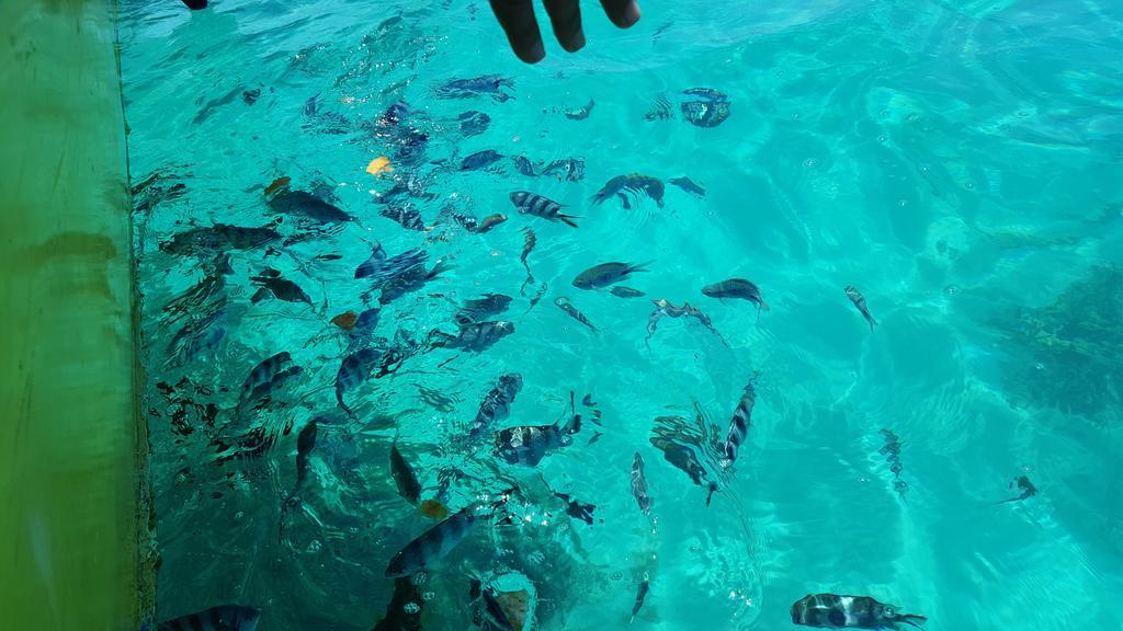 Chez Johnny - Blue Bay Hotel Luaran gambar